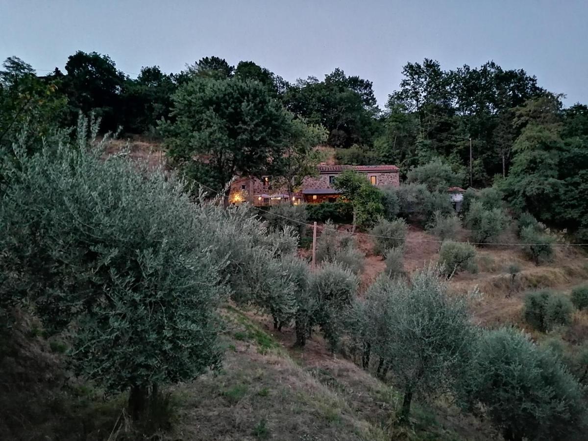 Agriturismo Tananei Marliana Luaran gambar